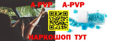 гидра Кингисепп