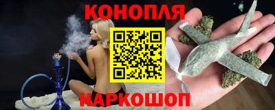гидра Кингисепп
