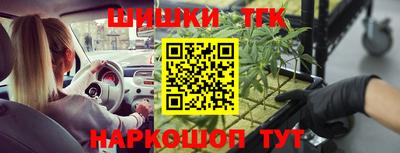 гидра Кингисепп
